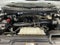 2025 Ford Expedition Active MAX