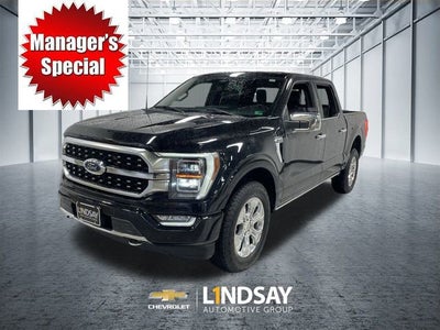 2023 Ford F-150 Platinum