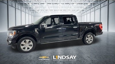 2023 Ford F-150 Platinum