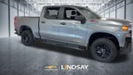 2022 Chevrolet Silverado 1500 LTD Custom Trail Boss